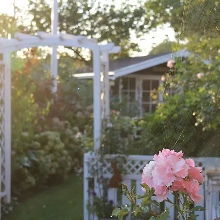 Bed & Breakfast Dybdalsvej 20 *